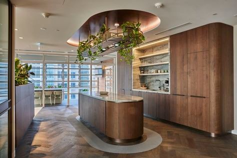 New Age Veneers - Gallery 6