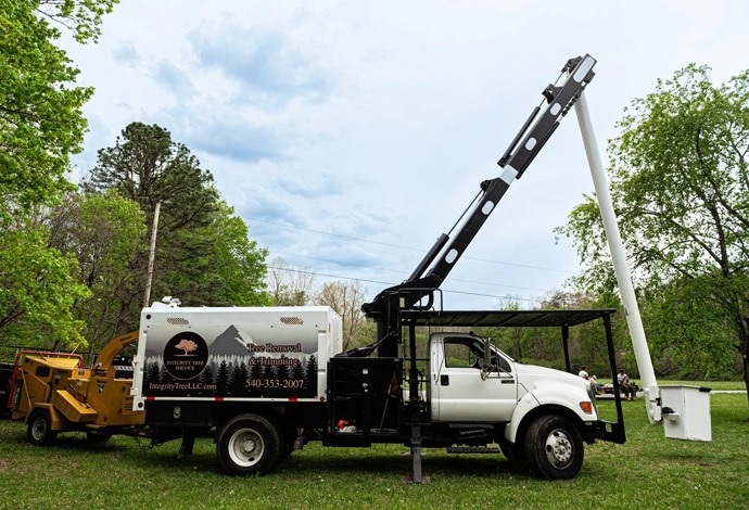 Integrity Tree Service - Gallery 3