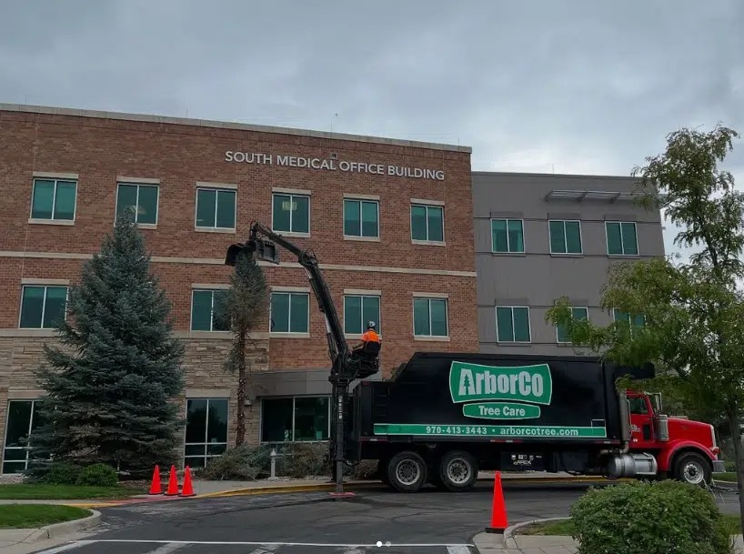 ArborCo Tree Care - Gallery 7