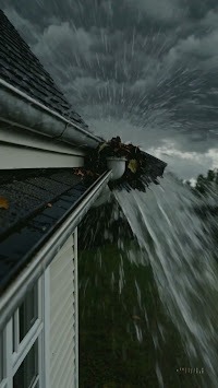 Guardian Gutter Guard Pty Ltd - Gallery 5