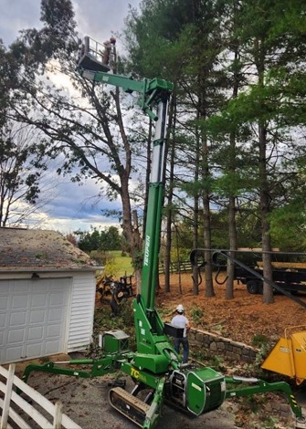 Integrity Tree Service - Gallery 4