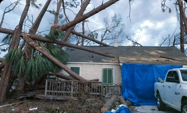 Tri-State Tree Service - Gallery 3