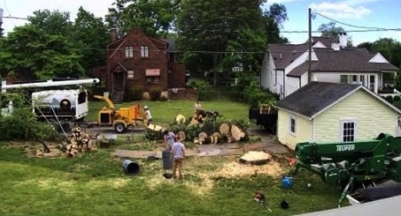 Integrity Tree Service - Gallery 5