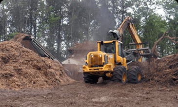 Tri-State Tree Service - Gallery 5