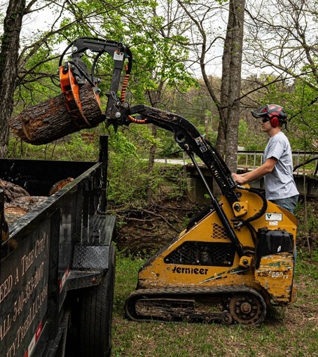 Integrity Tree Service - Gallery 6