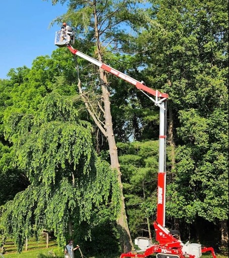 Integrity Tree Service - Gallery 7