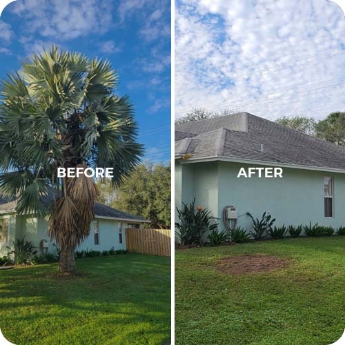 East Coast Arbor Pro Inc. - Gallery 2