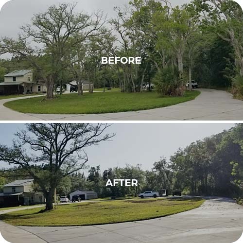 East Coast Arbor Pro Inc. - Gallery 3