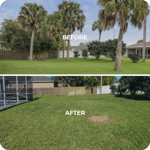 East Coast Arbor Pro Inc. - Gallery 4