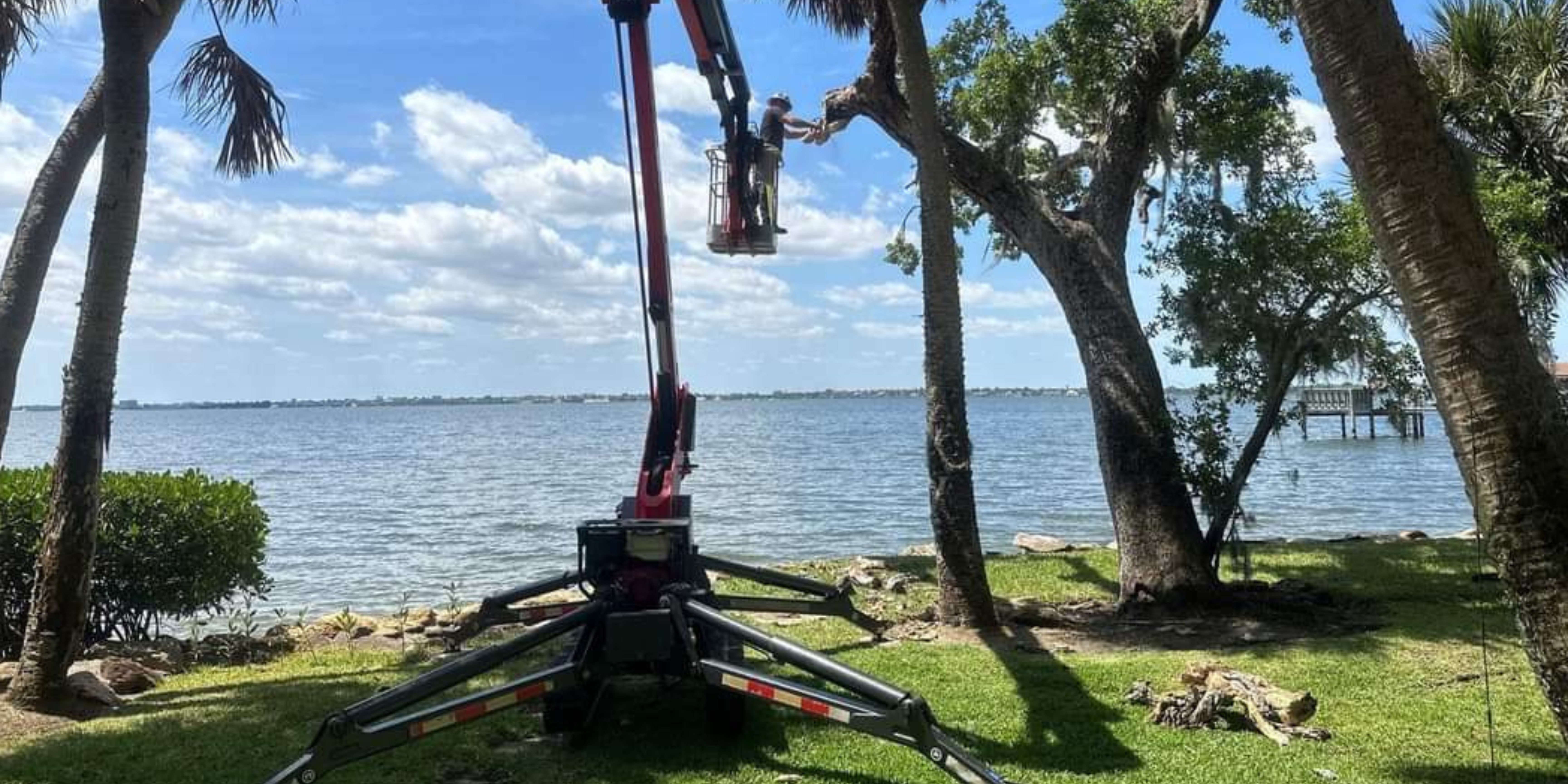 East Coast Arbor Pro Inc. - Gallery 8