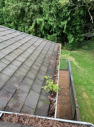 Clean Choice Professional Services - Gallery 3