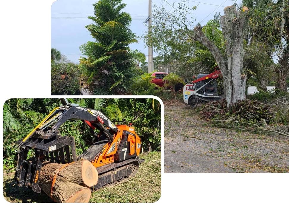 East Coast Arbor Pro Inc. - Gallery 1