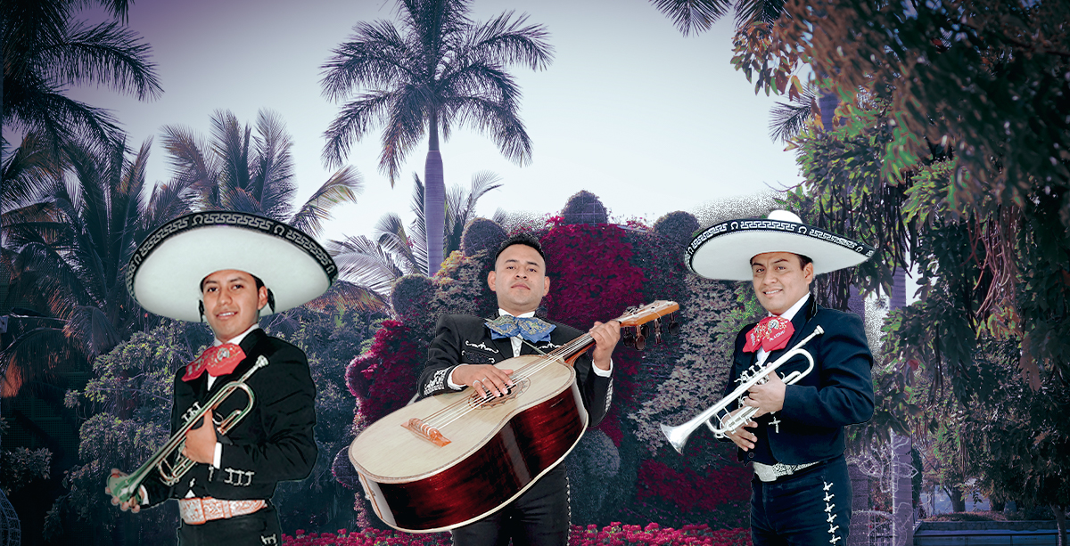 MARIACHIS EN MEXICO - Gallery 2