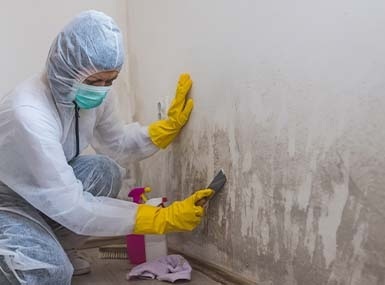 ServiceMaster Fire & Water Recovery By QRT Quality Restore Team LLC - Gallery 7