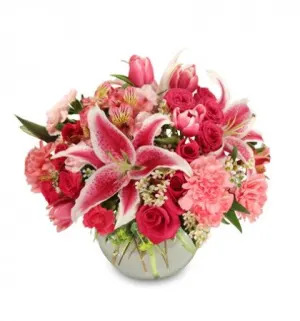 Petal Pushers - Gallery 7