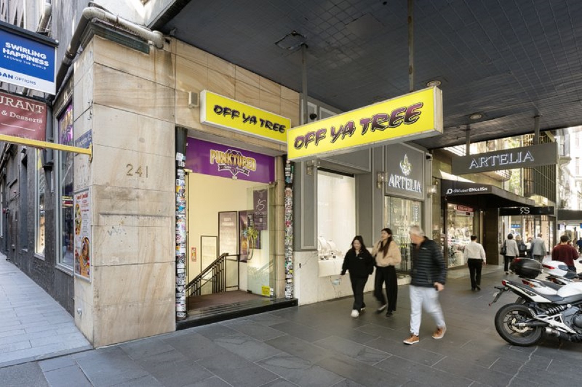 OFF YA TREE - Gallery 1