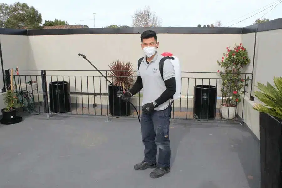Termite Pest Control Perth | Tom’s Pest Control Perth - Gallery 1