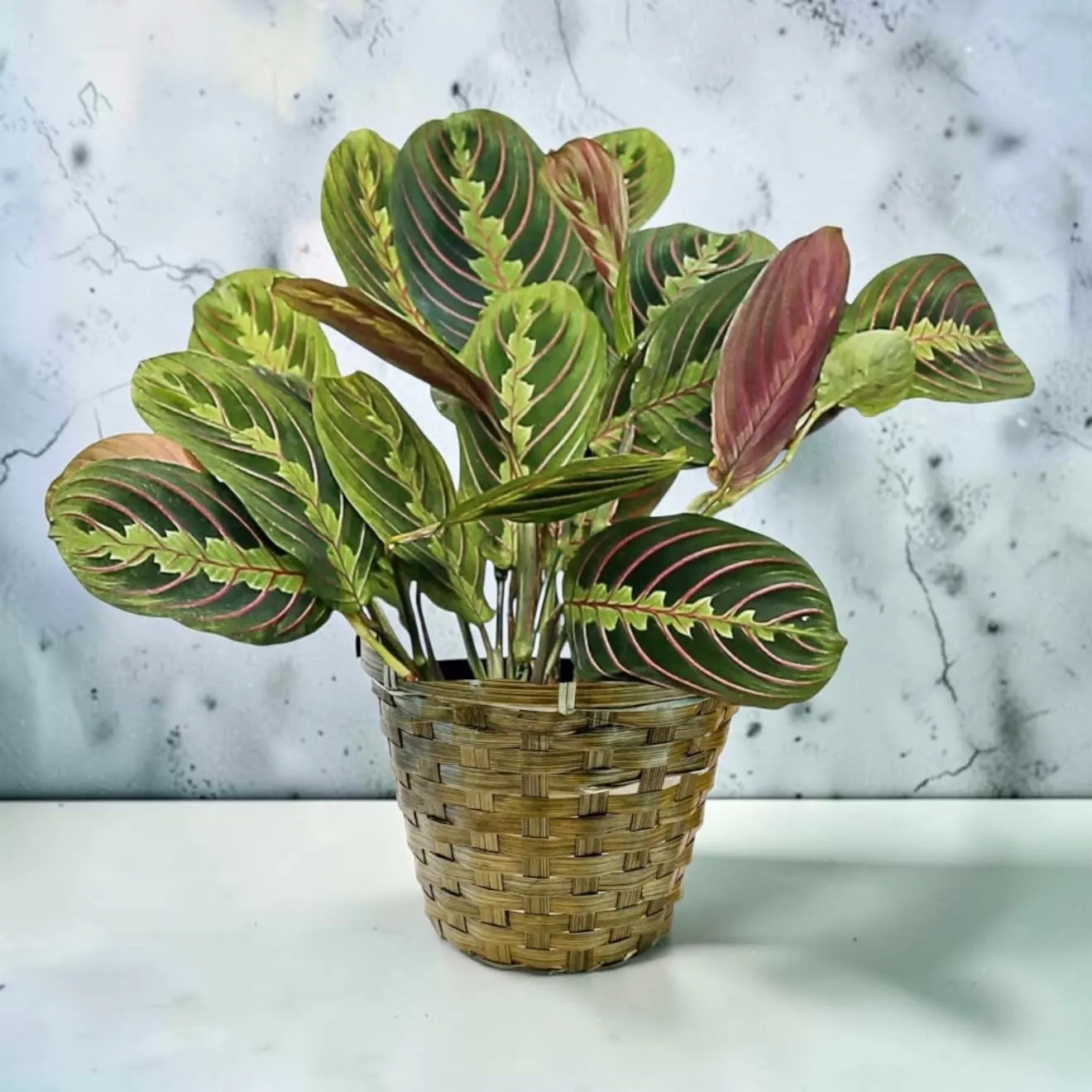 Mrs. DeHaven's Flower Shop - Gallery 10