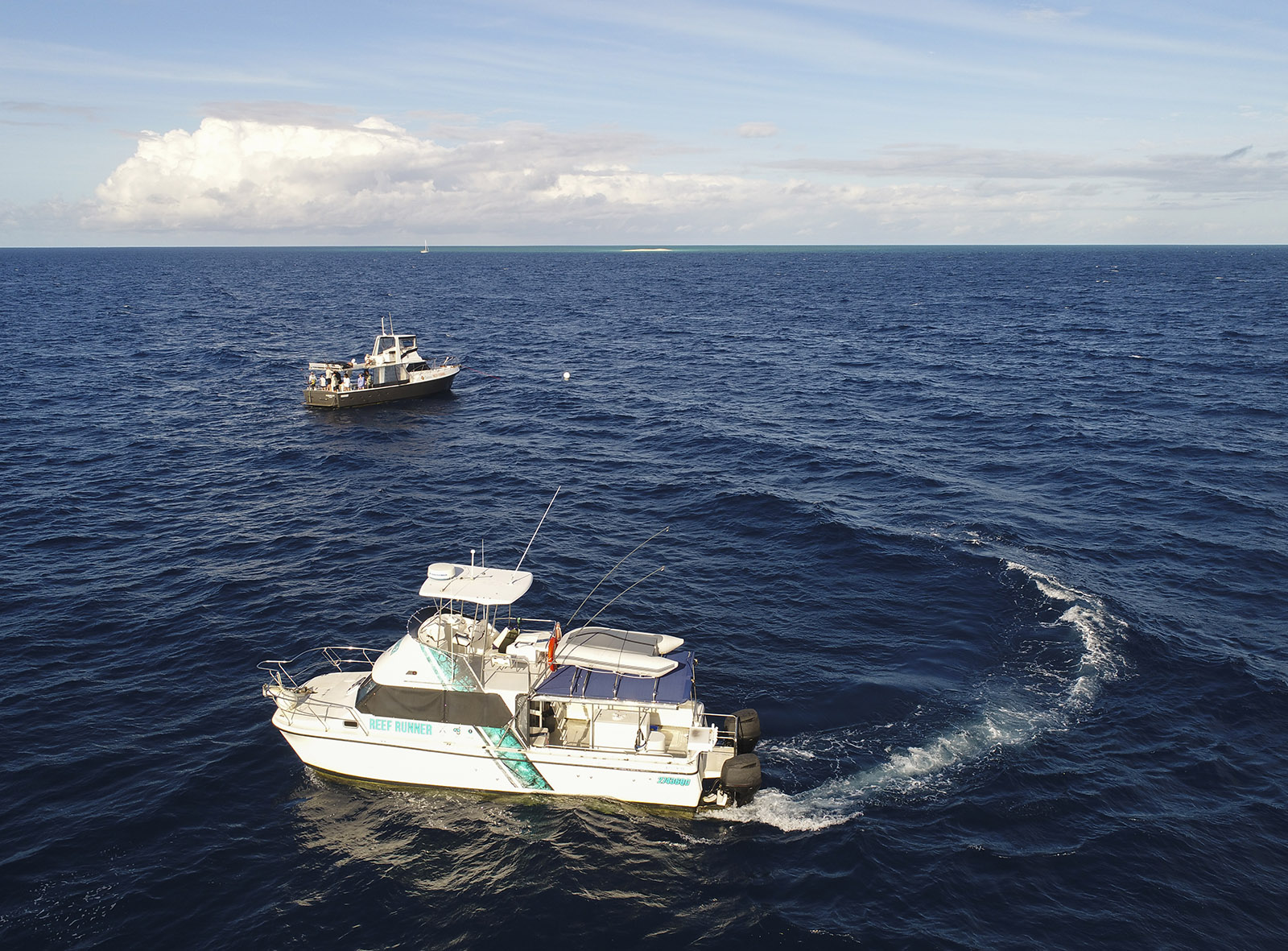 Reef Runner Charters - Gallery 6