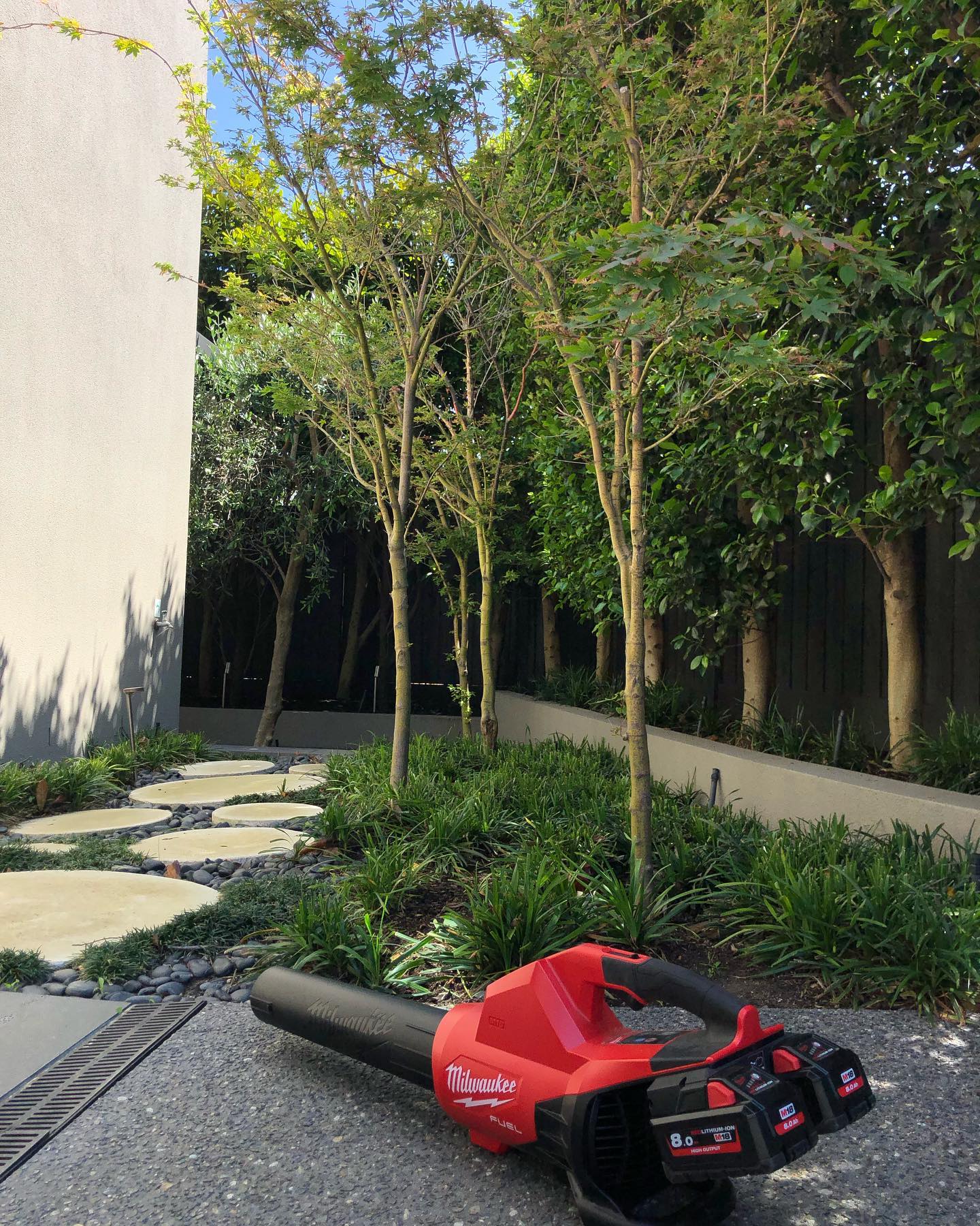 Tuscany Gardens - Gallery 8