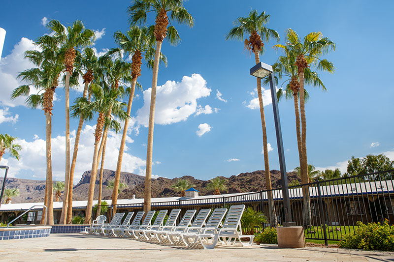 Havasu Springs Resort - Gallery 2