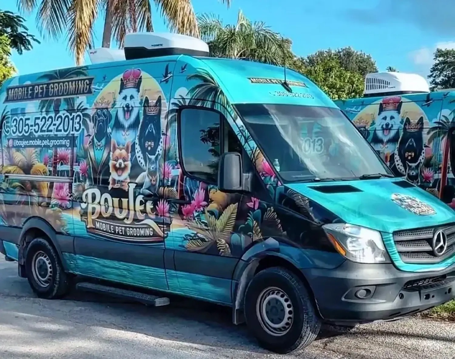 Boujee Mobile Pet Grooming - Gallery 11