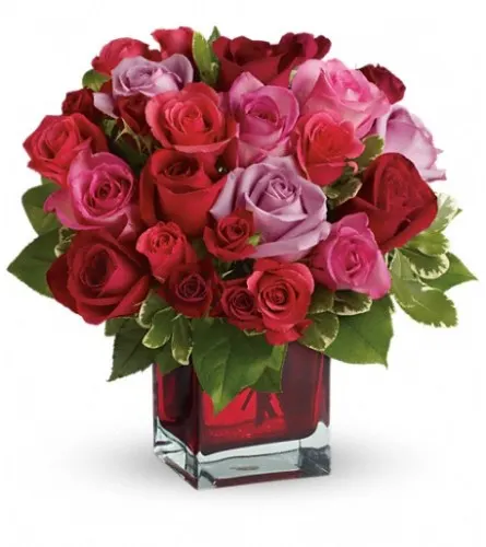 The Sweetest Bloom - Gallery 24