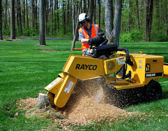 Rochester Tree Experts - Gallery 1
