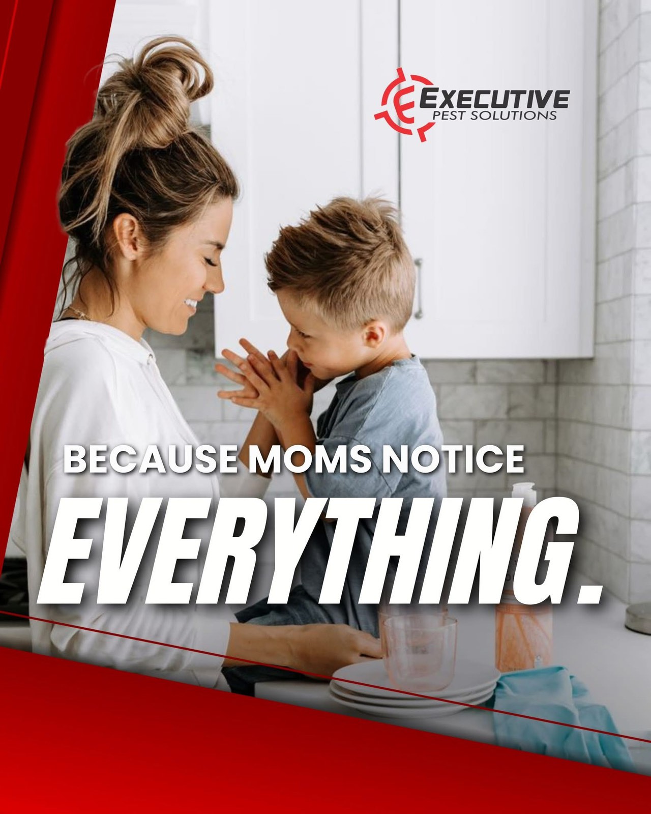 Executive Pest Solutions - Gallery 3