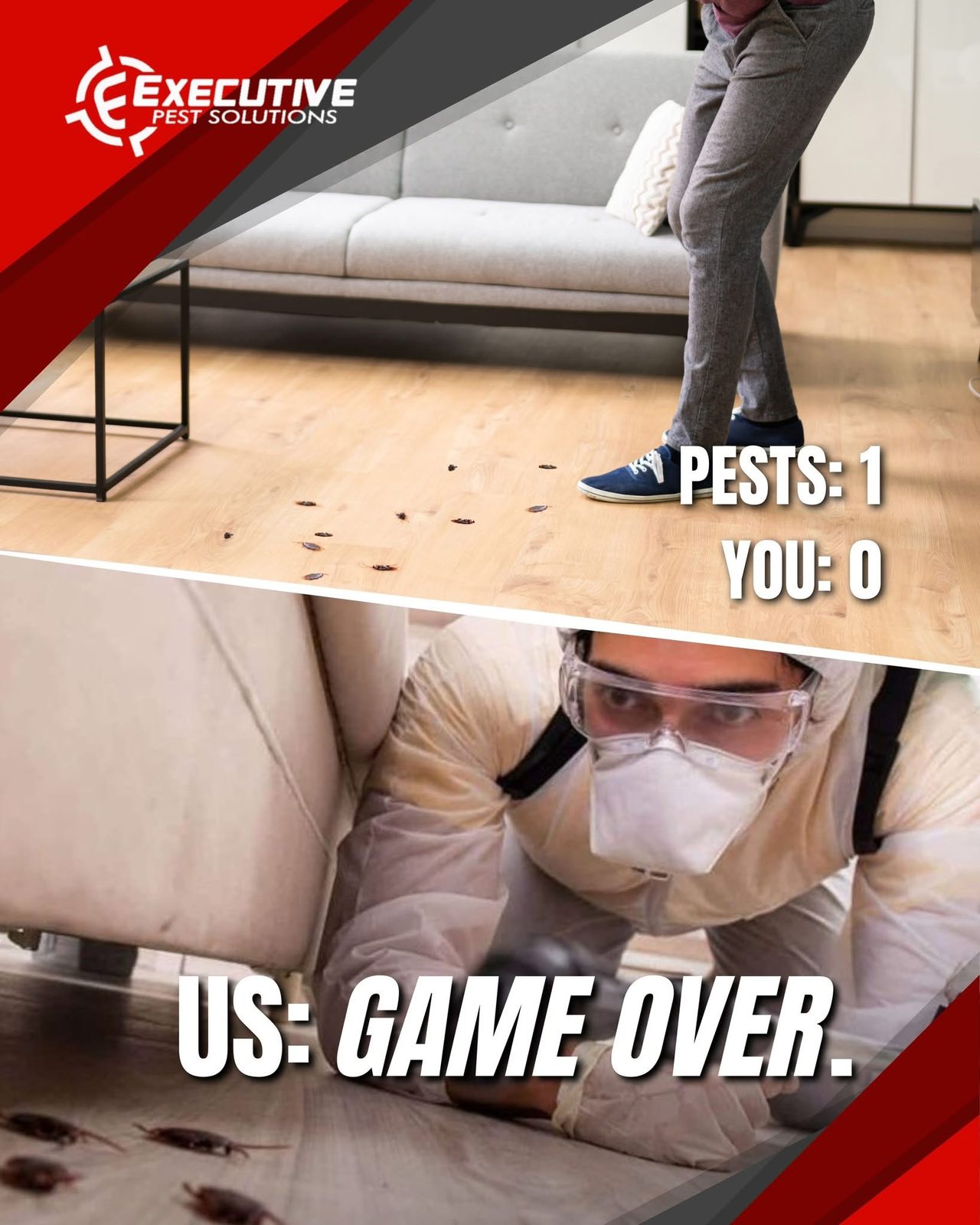 Executive Pest Solutions - Gallery 5