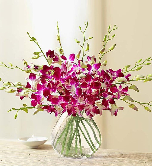 Ziegfield Florist, Gifts & Flower Delivery - Gallery 8