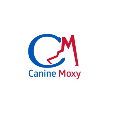Canine Moxy - Gallery 1