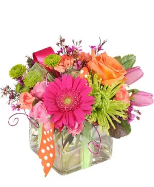 Spencer's Designer Florist, Gifts & Arrangements - Gallery 16