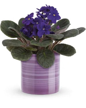 Rosemary & Pepper Flower Co. - Gallery 25